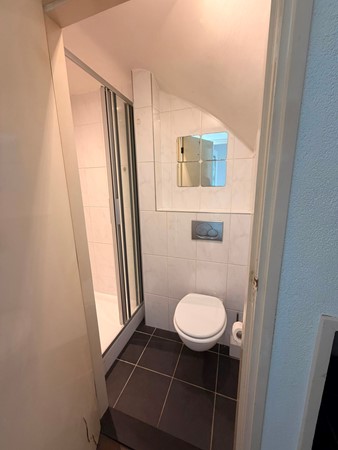 Badkamer - Koningin Wilhelminastraat 19.jpg